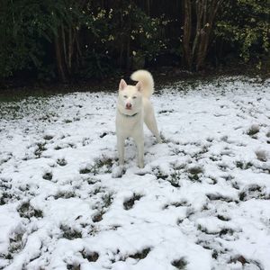 Meet your Posher, Madisyn